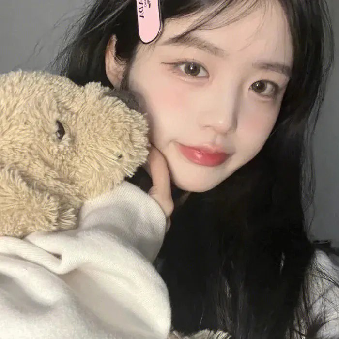 菊石